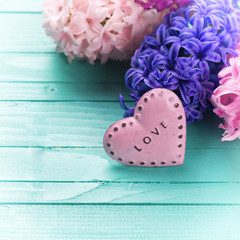 Background with fresh flowers hyacinths and heart