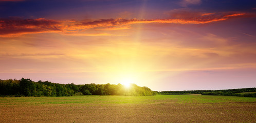 Obraz premium plowed field and beautiful sunset