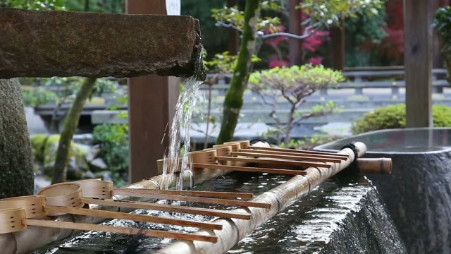 京都・上賀茂神社の手水舎