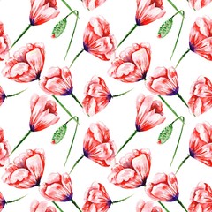 Poppy Pattern on White Background