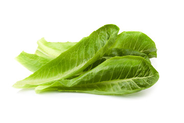 Cos Lettuce Isolated on White Background