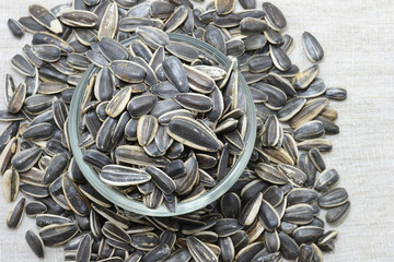 sunflower seed