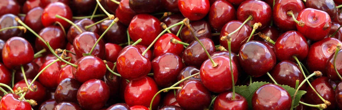 Juicy ripe cherries