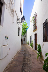 Streets of typical white houses of the city of Cordoba, Spain