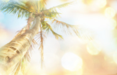 Obraz premium Tropical beach