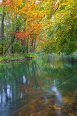 Fototapeta na wymiar Wild river in autumnal colorful forest