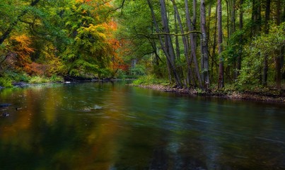 Wild river in autumnal colorful forest - obrazy, fototapety, plakaty
