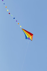 Kolorowy latawiec na błękitnym niebie - obrazy, fototapety, plakaty