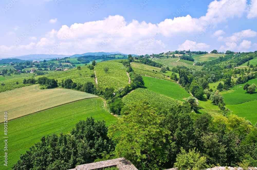 Wall mural panoramic view of torrechiara. emilia-romagna. italy.