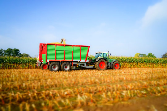 Maisernte, Traktor mit Anhänger  auf dem Feld