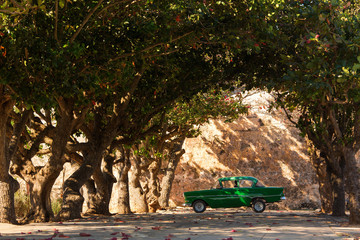 Classic old car under trees in Cuba