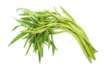 Fototapeta premium świeże białe łodygi Ipomoea na białym tle