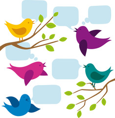Vector Card With Birds