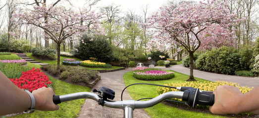 Fototapeta na wymiar Keukenhof Holland Fahrradlenker
