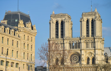 Fototapeta na wymiar Notre-Dame Cathedral - Paris