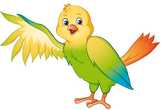 bunter Paradisvogel