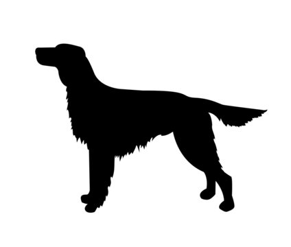 vector dog silhouette, irish setter
