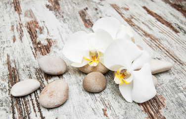 Fototapeta na wymiar Orchids spa