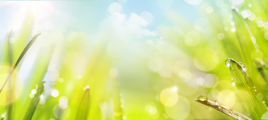 abstract art spring Nature background