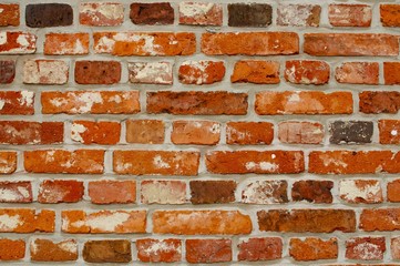alte Wand