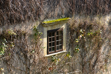 ventana de una casa antigua © uzkiland