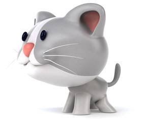 Fun cat