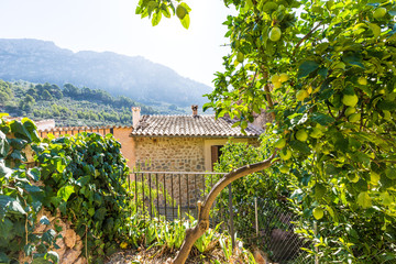 Majorca Balearic house patio in Balearic islands © lunamarina