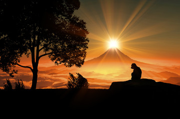 富士山と猿 © bigfoot