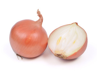 Onion