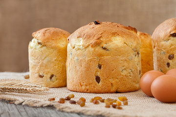 Traditional italian panettone holiday biscuit cake with raisins