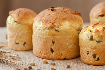Traditional homemade russian easter cake kulich with raisins