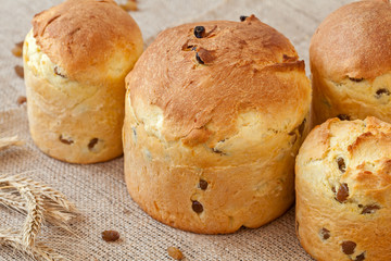 Homemade traditional orthodox easter cake kulich with raisins