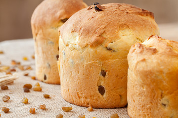 Homemade panettone easter cake dessert bread with raisins