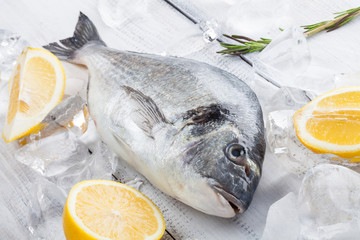 Fresh dorado fish with rosemary and lemon