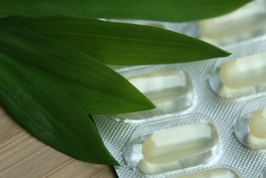 sanfte medizin mit b&auml;rlauch