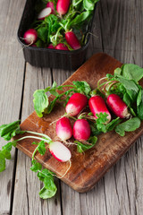 Fresh radish on a wooden table