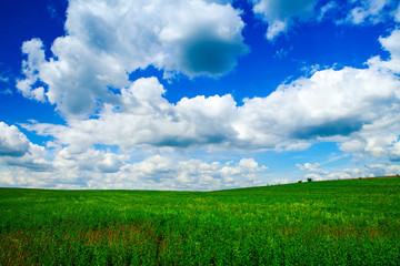 Green grass under blue sky