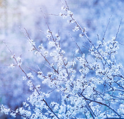 Abstract floral background