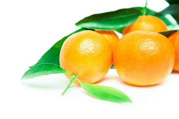 mandarin isolated on white