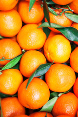 mandarin oranges on market