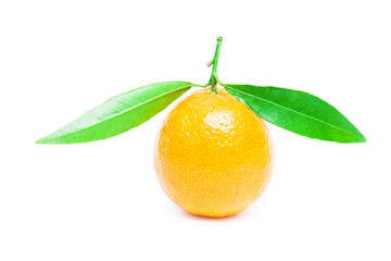 mandarin isolated on white