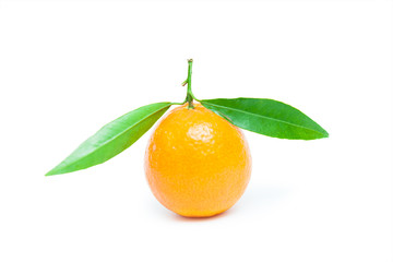 mandarin isolated on white