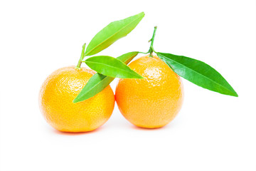 mandarin isolated on white