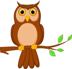 Owl cartoon standing on tree