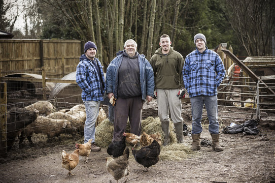 Four working men, brothers and another man standing in a row, in a farmyard beside a pen full of young pigs. 