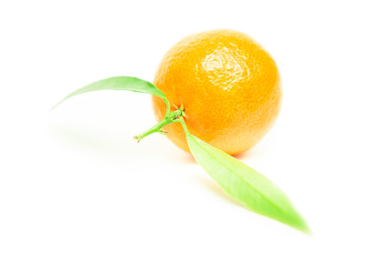 mandarin isolated on white