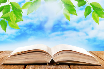 Opened book on table on nature background