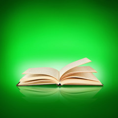 Opened book on green background