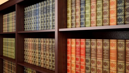 Law. 3D. Law Library Books