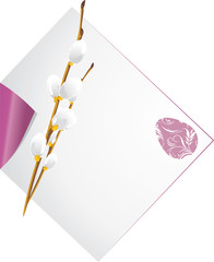 Curled paper sheet with pussy willow branch